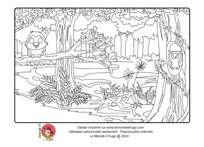 coloriage Dans la forêt lointaine   pour enfants