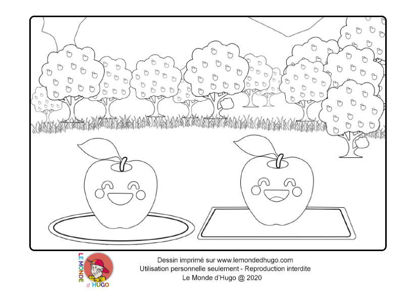coloriage Pomme de reinette et pomme d'api  pour enfants